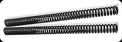 Progressive Fork Springs