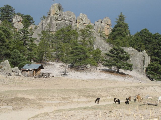IMG_4008.JPG
