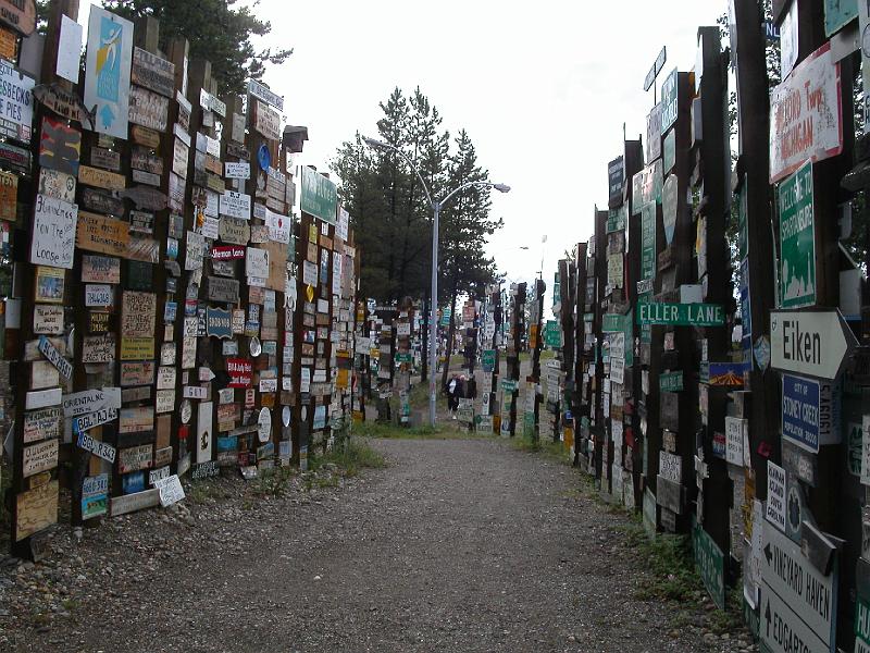 050.JPG