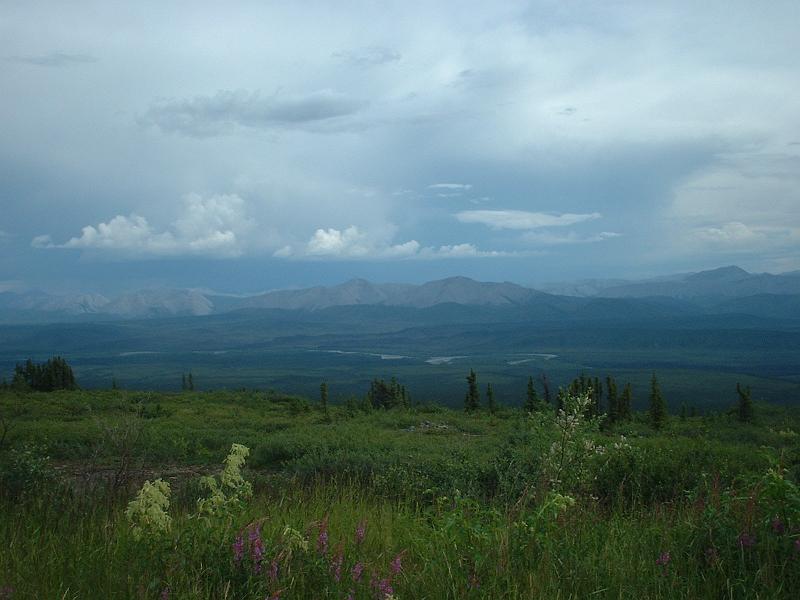 DSCF1118.JPG